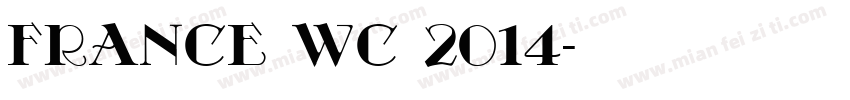 France WC 2014字体转换